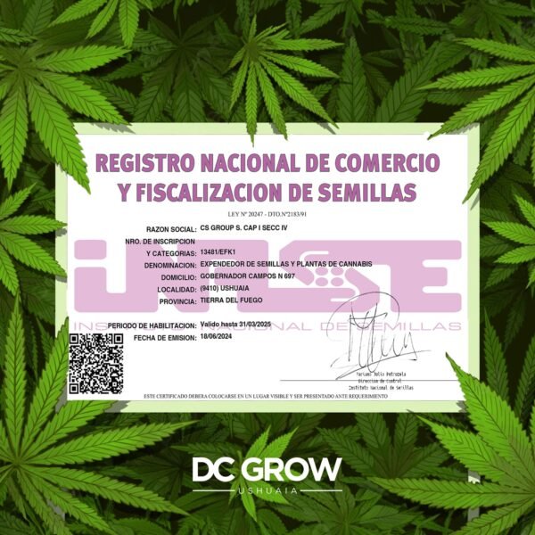 Semillas Loco Yorsh - Bateku x5 + 1 - Feminizadas - Cannabis INASE - Imagen 5