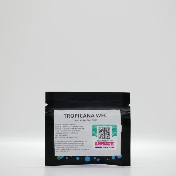 Semillas Sweed Lab - Tropicana WFC X4 - Feminizadas - Cannabis INASE - Imagen 2