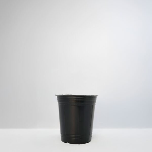 Maceta Soplada 500ml
