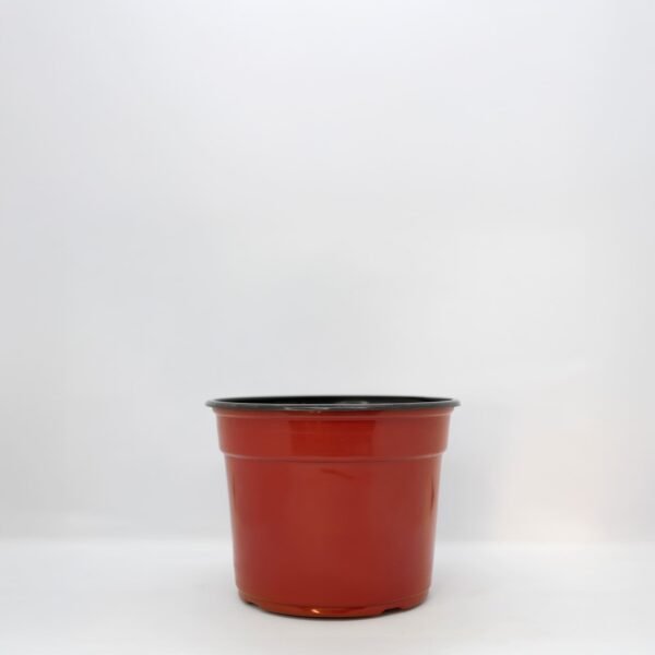 Maceta de Plastico Carluccio Terracota/Negro 14 1lt