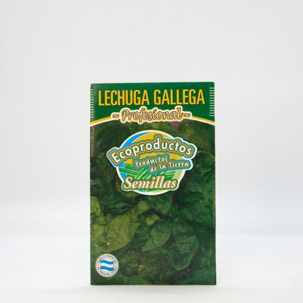 Semillas de Lechuga Gallega