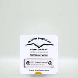 Semillas Dutch Passion Seed Company - CBD Charlotte´s x3 - Feminizadas - Cannabis Inase